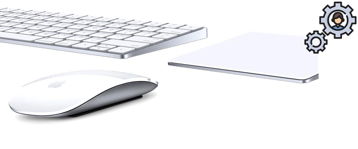 1200x500_assesuar_crop%2Bswt