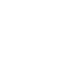 V logo2